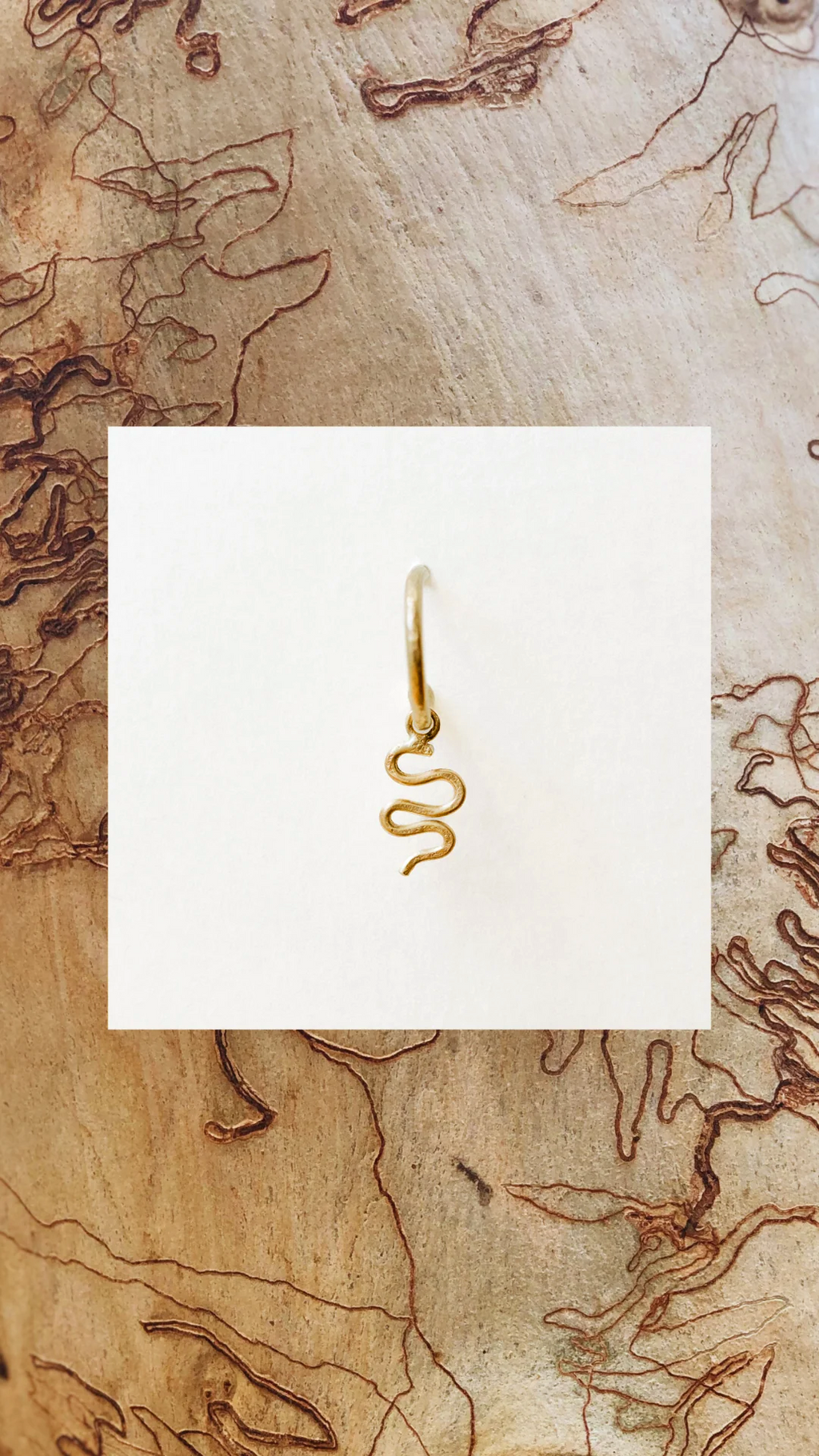 Scribbly Gum Loop Studs - 18ct Yellow Gold