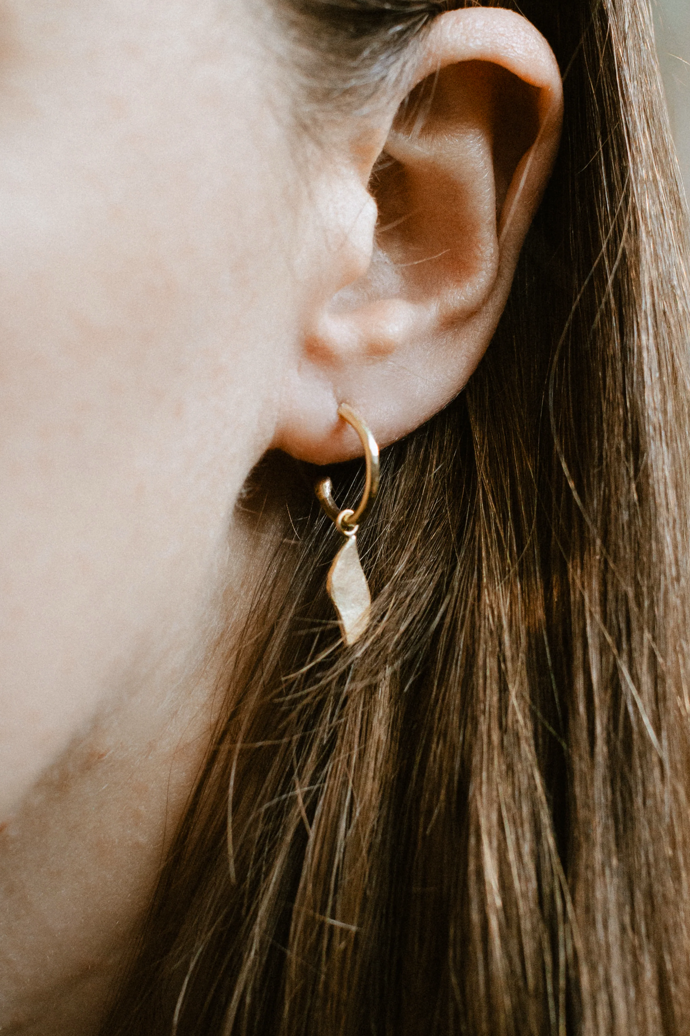 Leaf Loop Studs - 18ct Yellow Gold
