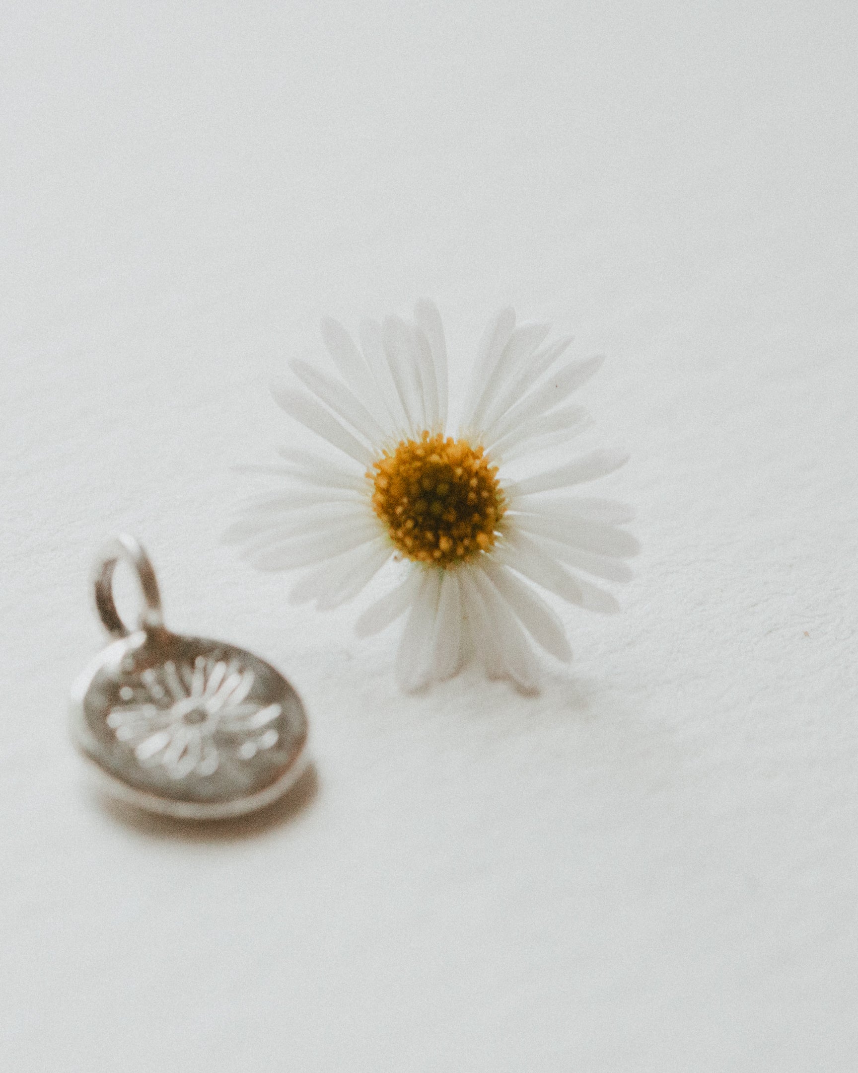 Birthflower Charm — March, Brachyscome