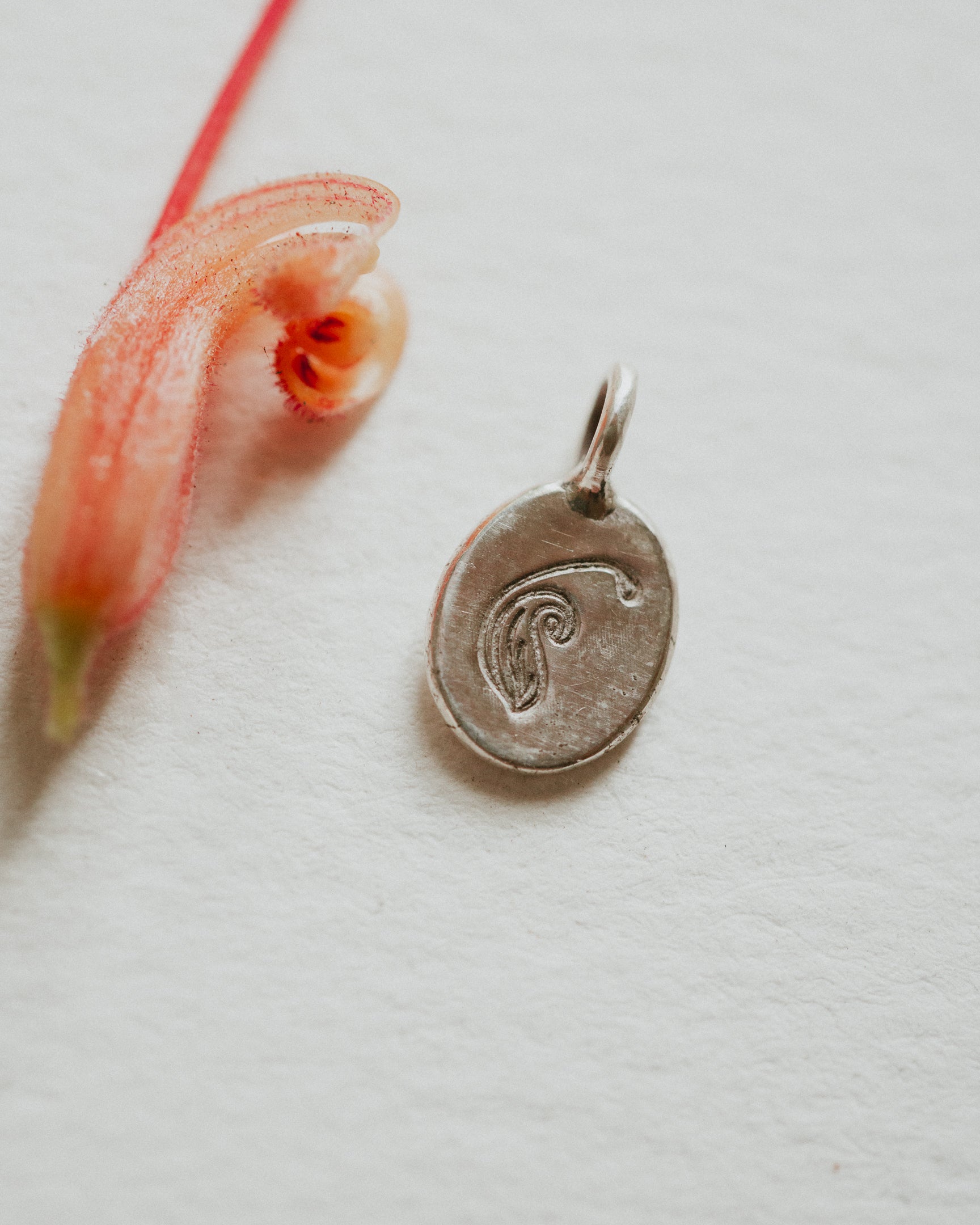 Birthflower Charm — February, Grevillea