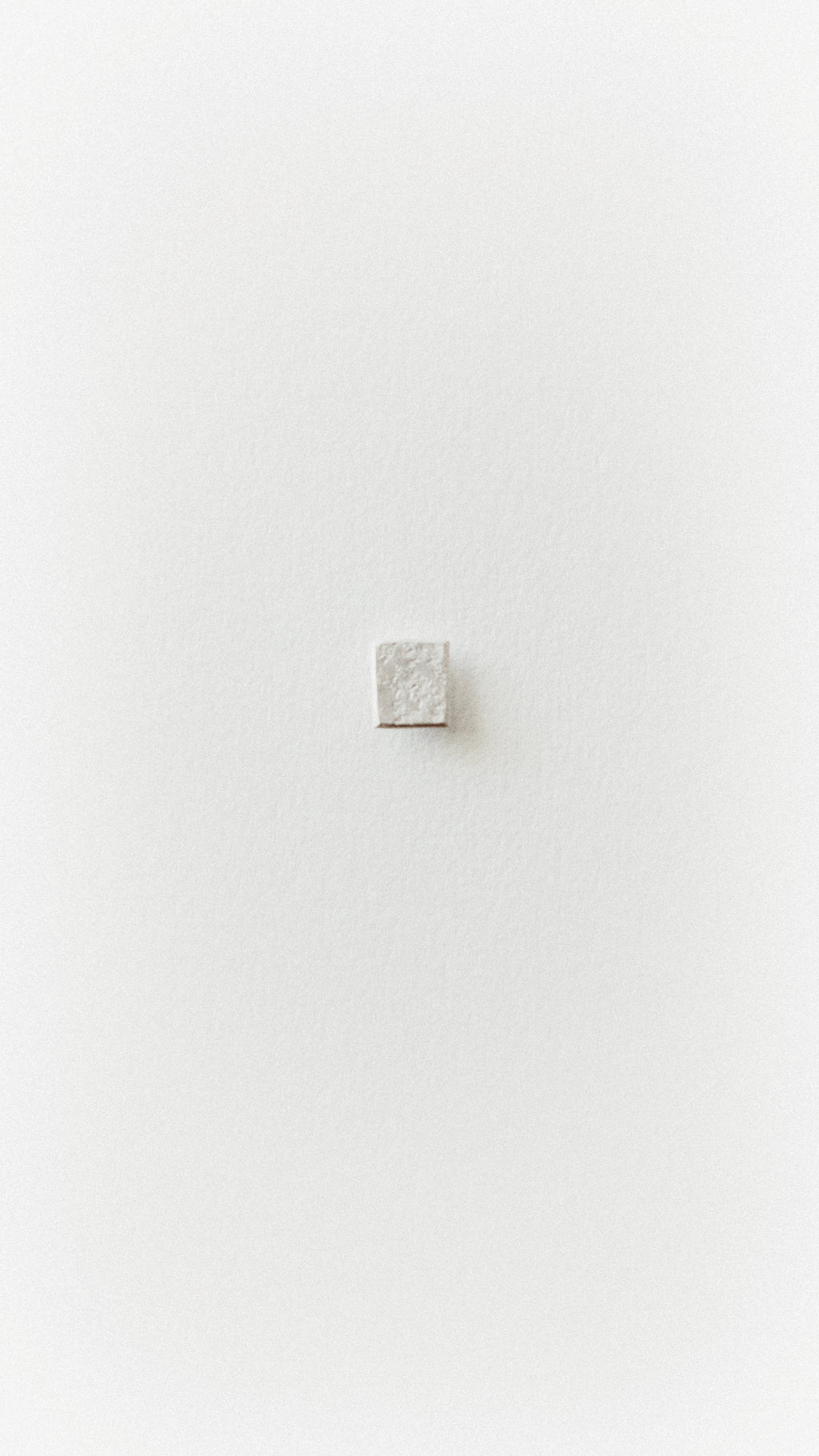 Textured Rectangle Studs