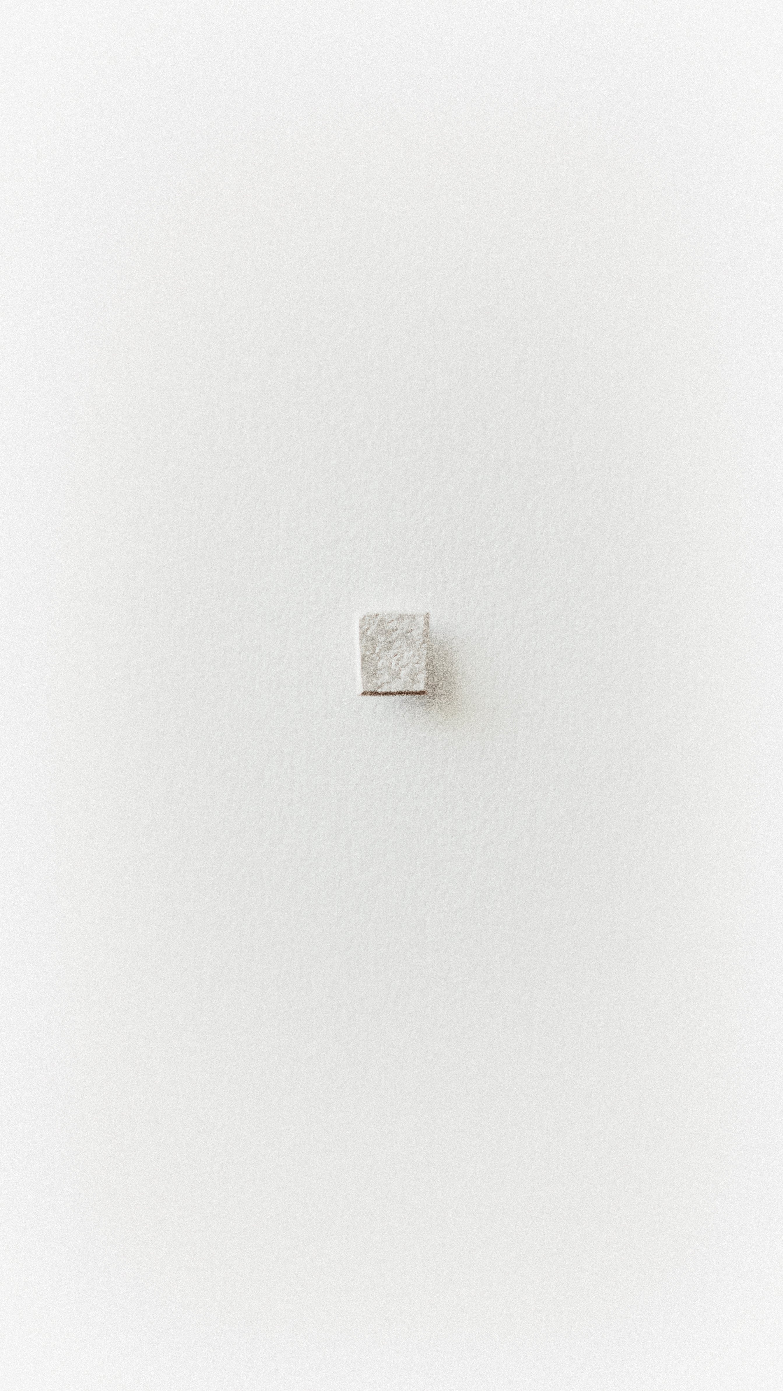 Textured Rectangle Studs