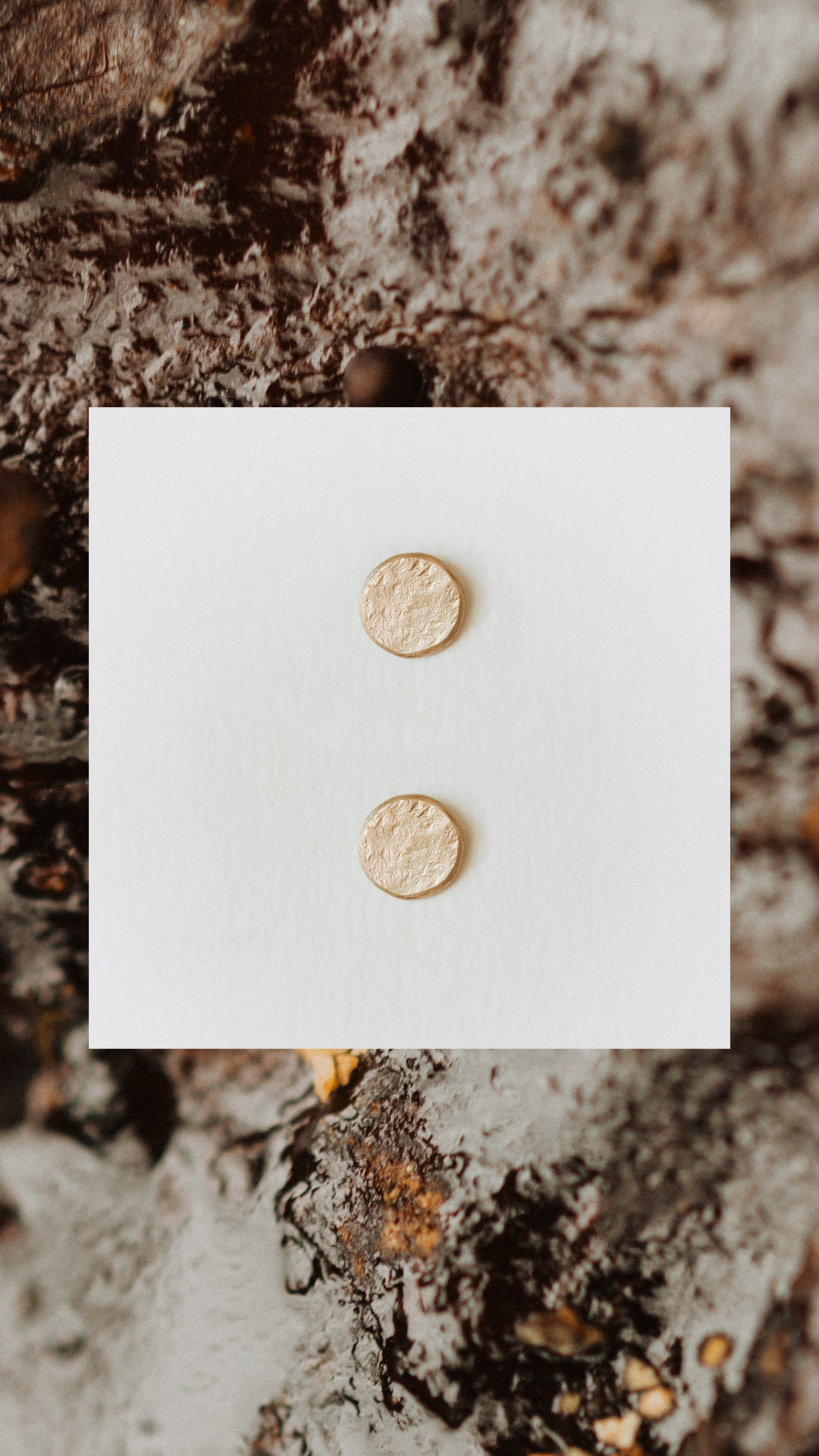 Textured Circle Studs